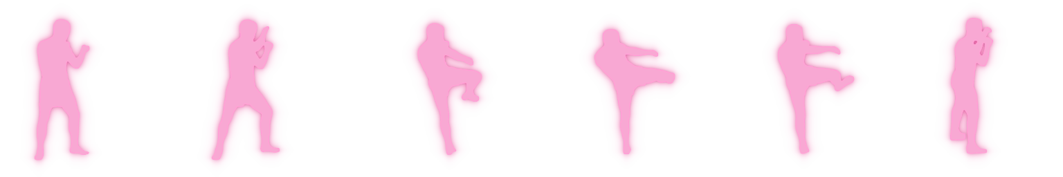 Animated silhouette of a roundhouse kick